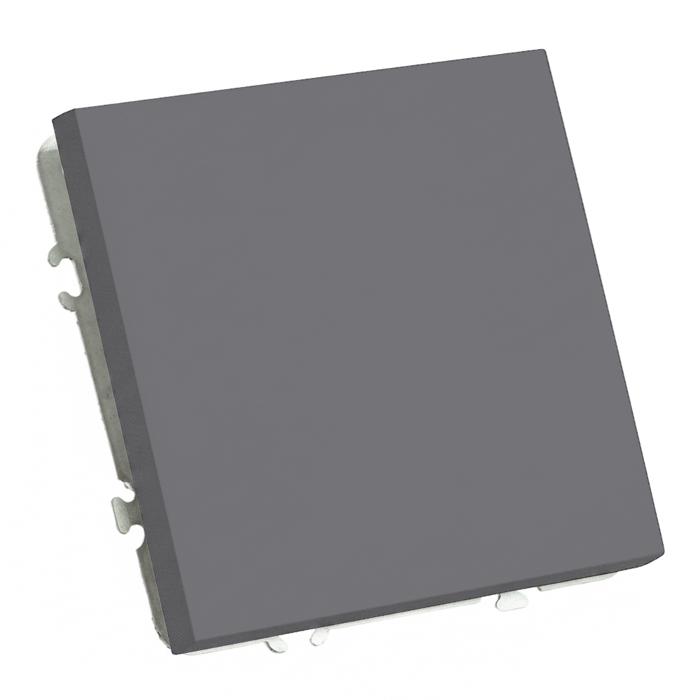 Выключатель 1-клавишный (механизм), СЗК, STEKKER, 250В, 10А, серия Эмили, RSW10-5103-10ZK, платиново-серый, soft touch