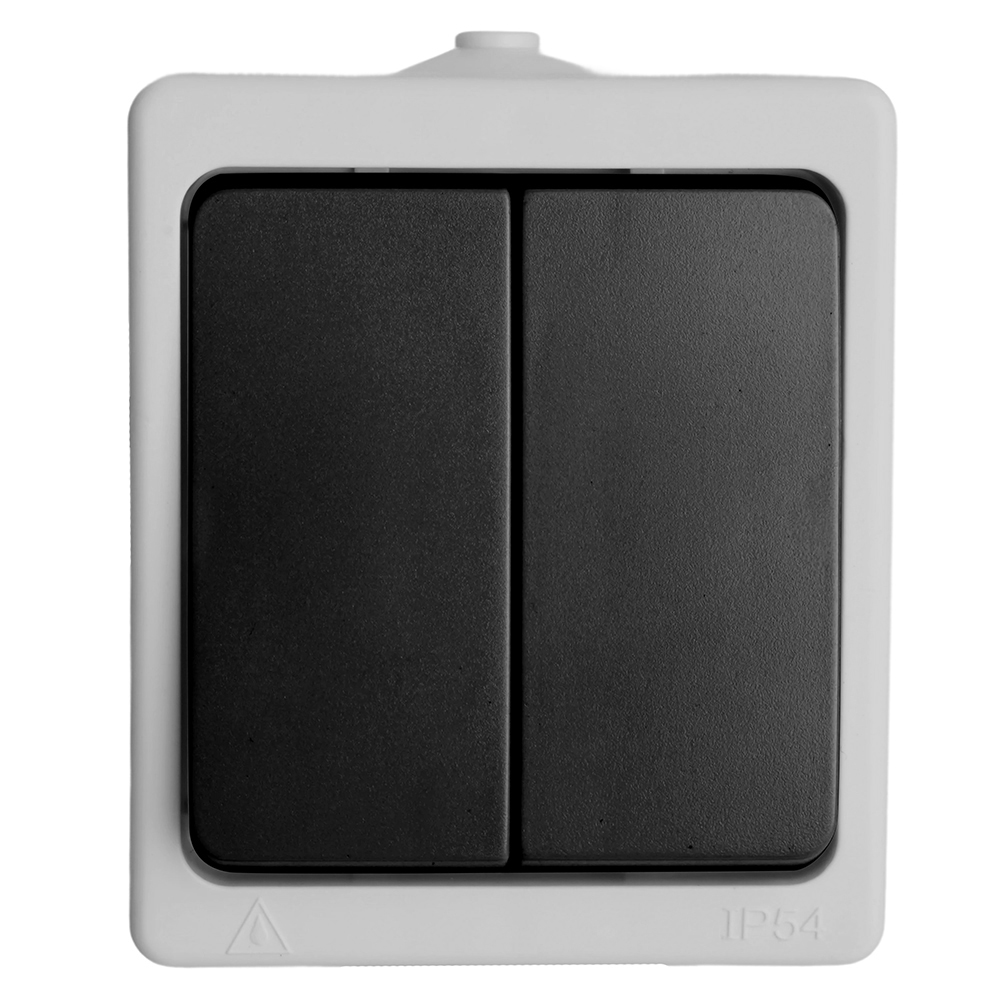 Выключатель 2-клавишный, STEKKER, PSW10-121-54, открытой установки, 250В, 10А, IP54, серый/графит