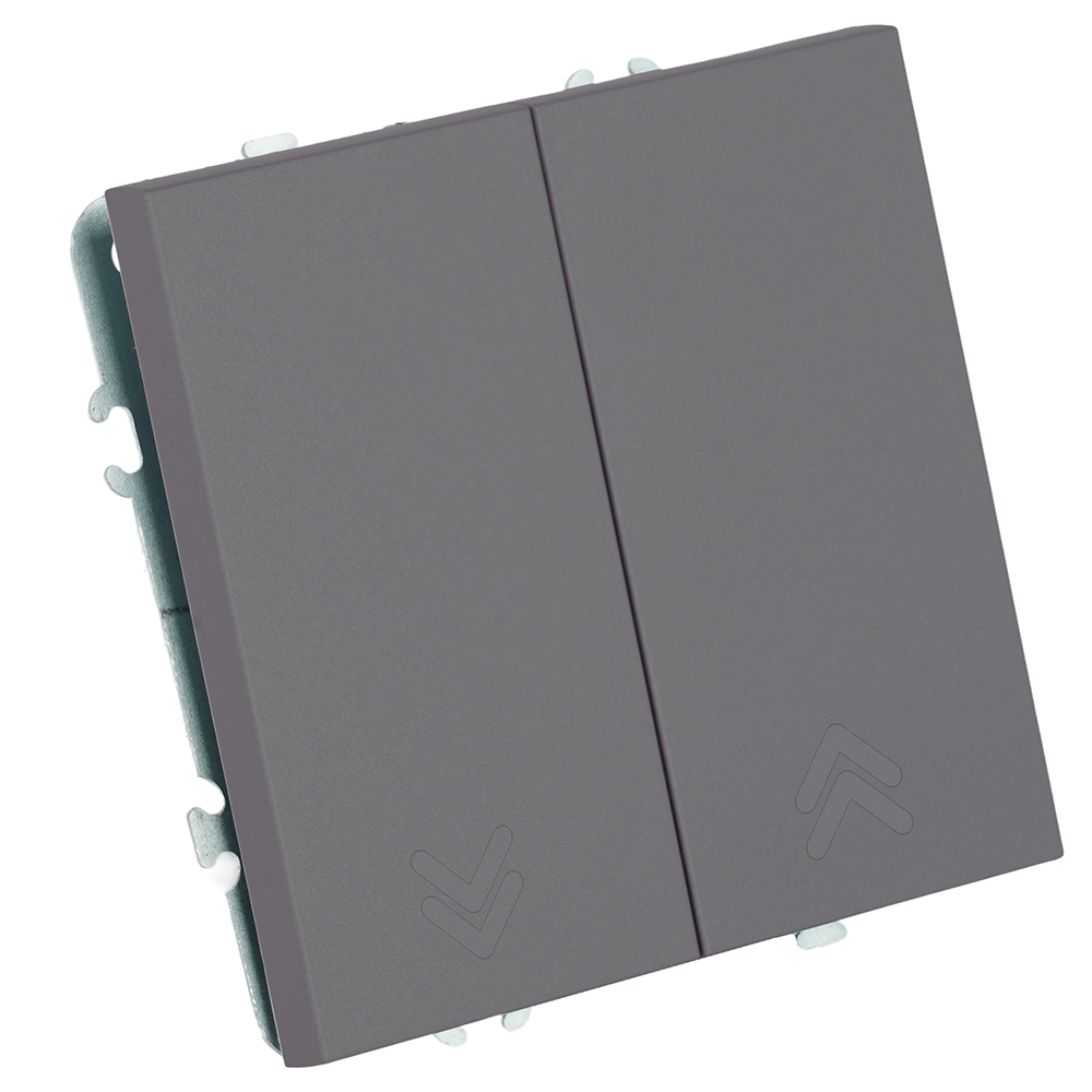 Переключатель 2-клавишный (механизм), СЗК, STEKKER, 250В, 10А, серия Эмили, RSW10-5107-10ZK, платиново-серый, soft touch