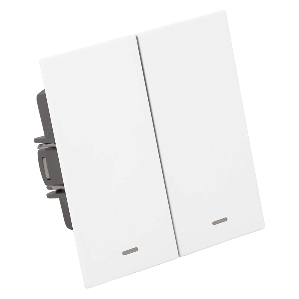 Выключатель 2-клавишный c индикатором (механизм), STEKKER, 250В, 10А, серия Мия, RSW10-3102-01, белая магнолия