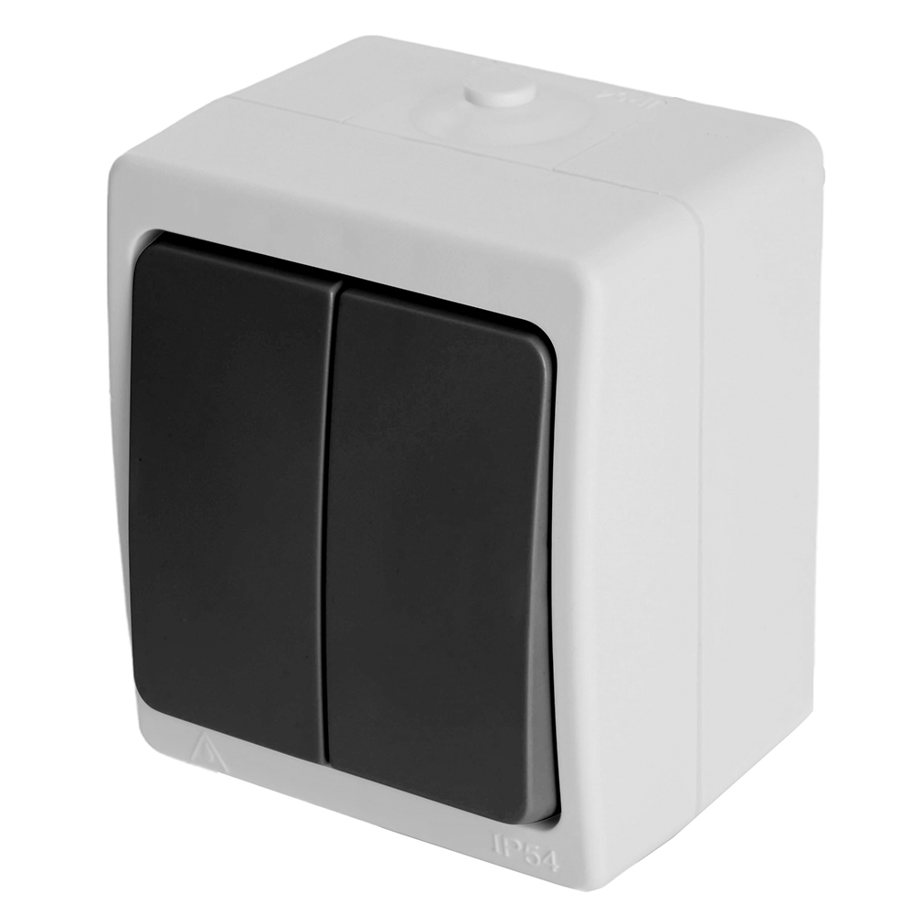 Выключатель 2-клавишный, STEKKER, PSW10-121-54, открытой установки, 250В, 10А, IP54, серый/графит