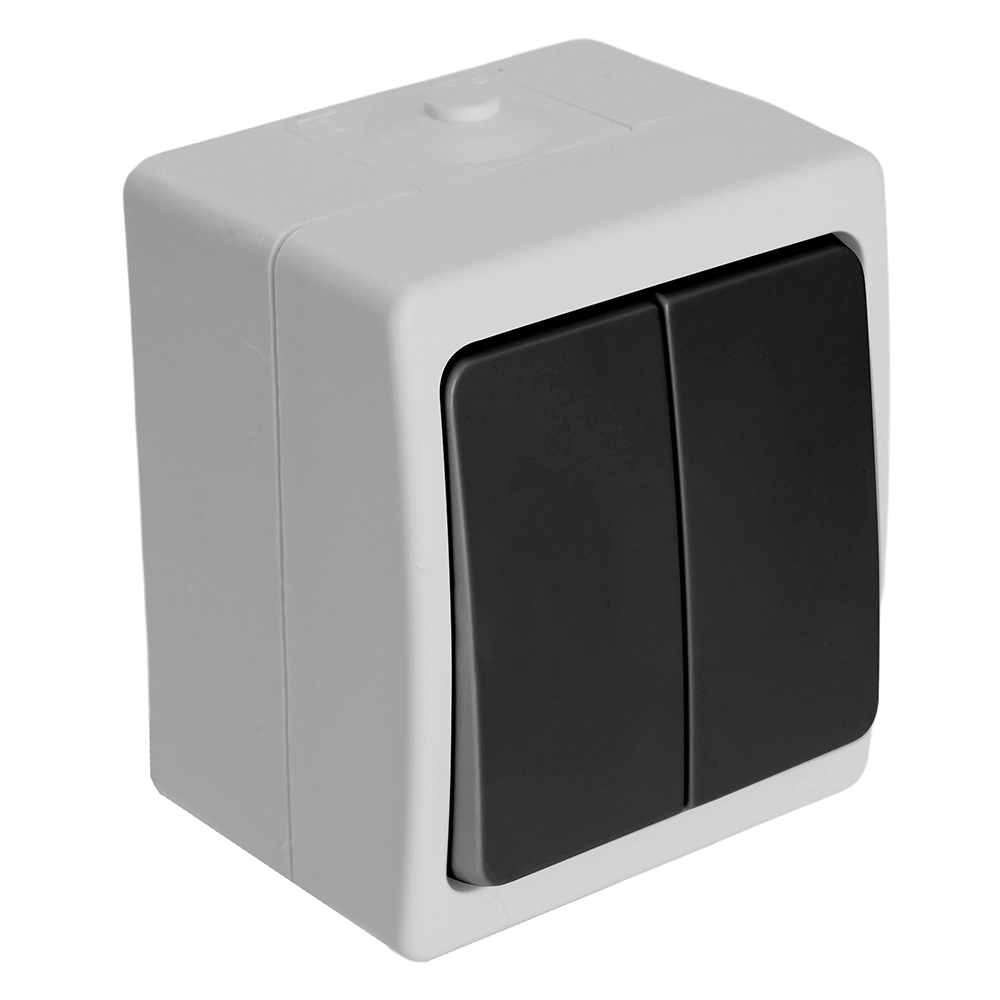 Выключатель 2-клавишный, STEKKER, PSW10-121-54, открытой установки, 250В, 10А, IP54, серый/графит