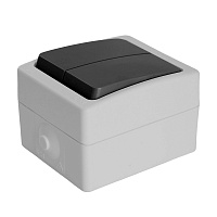 Выключатель 2-клавишный, STEKKER, PSW10-121-54, открытой установки, 250В, 10А, IP54, серый/графит 32753