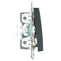Выключатель 2-клавишный c индикатором (механизм), STEKKER GLS10-7102-05, 250В, 10А, серия Катрин, черный 39607 Выключатель 2-клавишный c индикатором (механизм), STEKKER GLS10-7102-05, 250В, 10А, серия Катрин, черный 39607