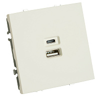 Розетка 2-местная USB + Type C (механизм), STEKKER, 250В, 20W, серия Эмили, RST10-5115-01, белый фарфор, soft touch  49879 Розетка 2-местная USB + Type C (механизм), STEKKER, 250В, 20W, серия Эмили, RST10-5115-01, белый фарфор, soft touch  49879