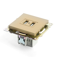 Розетка 2-местная USB (механизм), STEKKER, GLS10-7115-08, 250В, 2,1А, серия Катрин, золото 49229 Розетка 2-местная USB (механизм), STEKKER, GLS10-7115-08, 250В, 2,1А, серия Катрин, золото 49229