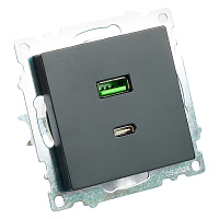 Розетка 2-местная USB + type C (механизм), STEKKER GLS10-7116-05, 250B, 3А, серия Катрин, черный 50055 Розетка 2-местная USB + type C (механизм), STEKKER GLS10-7116-05, 250B, 3А, серия Катрин, черный 50055