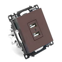 Розетка USB 2-местная (механизм), STEKKER GLS10-7115-04, 250B, 2,1А, серия Катрин, шоколад 49027 Розетка USB 2-местная (механизм), STEKKER GLS10-7115-04, 250B, 2,1А, серия Катрин, шоколад 49027