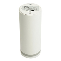 Светильник потолочный Feron ML100 Barrel LUNA MR11 GU10 35W 230V, белый 51368 Светильник потолочный Feron ML100 Barrel LUNA MR11 GU10 35W 230V, белый 51368