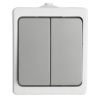 Выключатель 2-клавишный, STEKKER, PSW10-221-54, открытой установки, 250В, 10А, IP54, белый/серый 49733